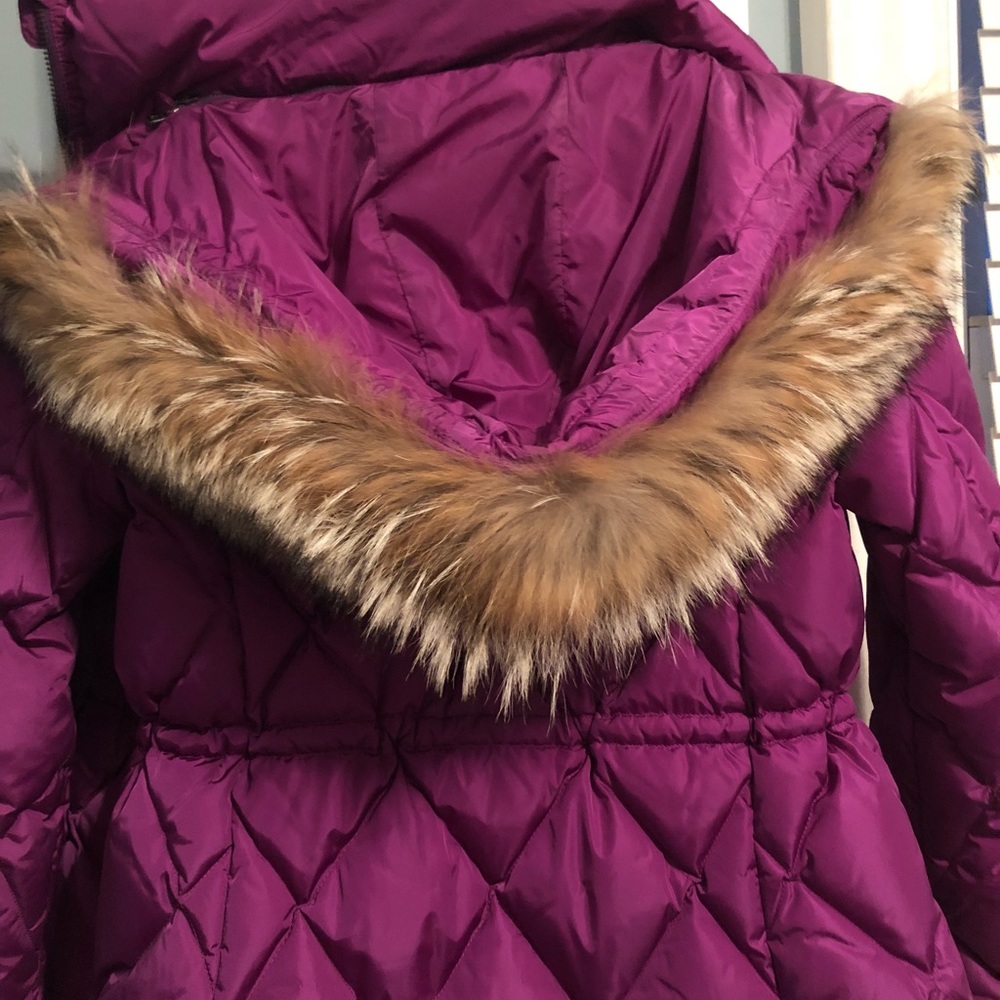Coach Puffer Jacket